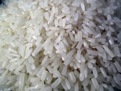 Cambodian Jasmine Rice